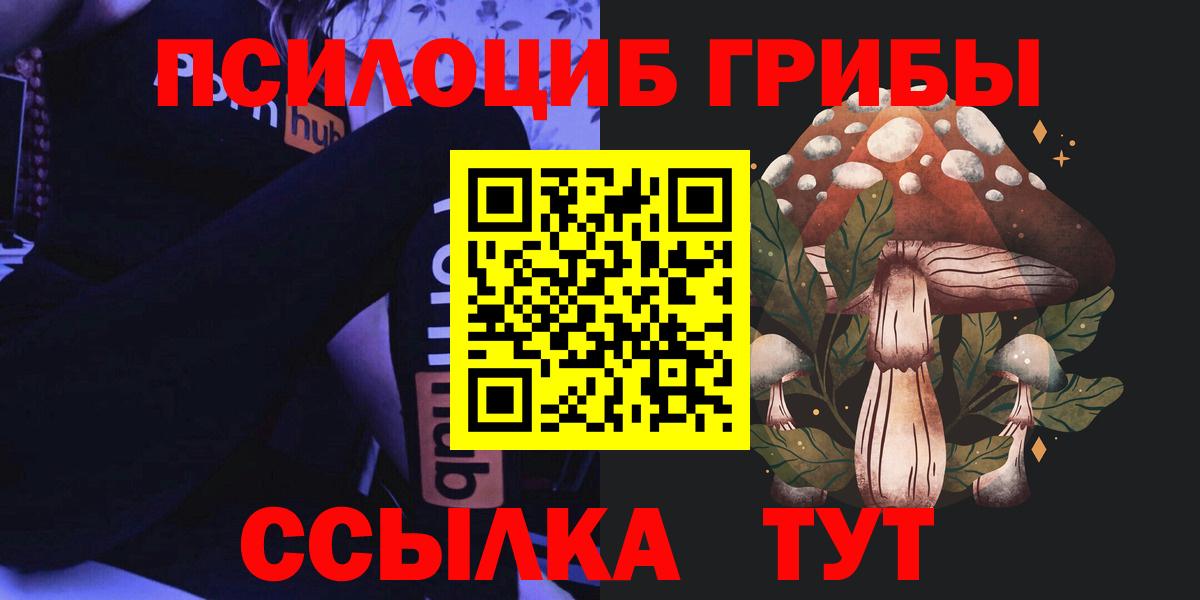 Урус-Мартан  Псилоцибиновые грибы GOLDEN TEACHER  Вход с VPN 